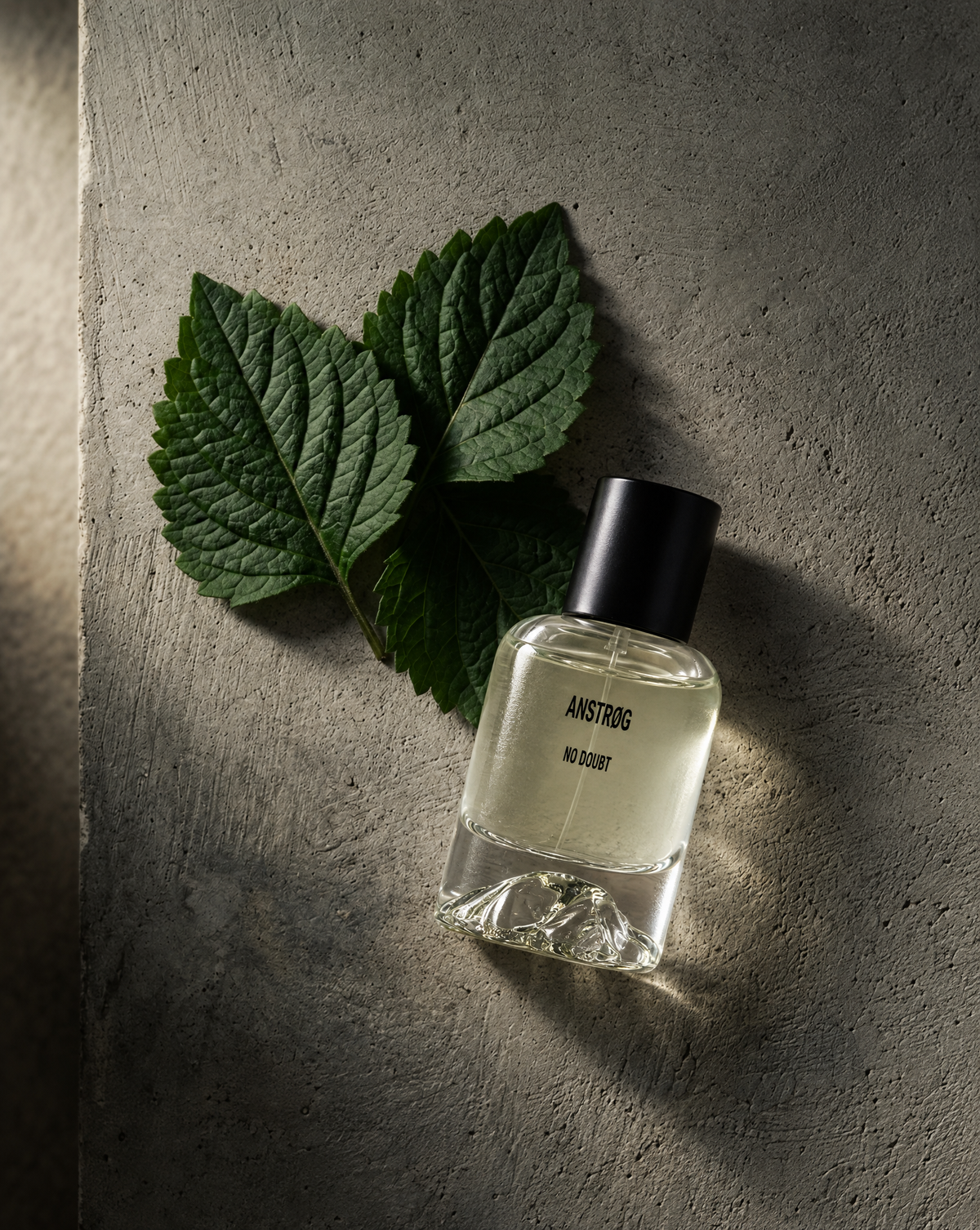 No Doubt eau de parfum på rå beton med patchoulliblade